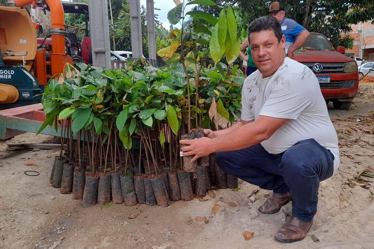 Arranjos Produtivos entrega mais 2 mil mudas de cacau para agricultores familiares de Vila Pavão