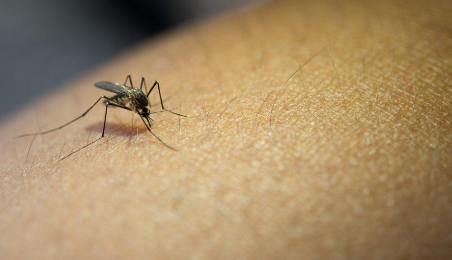 Cachoeiro amplia coleta de exame RT-PCR para diagnóstico da dengue