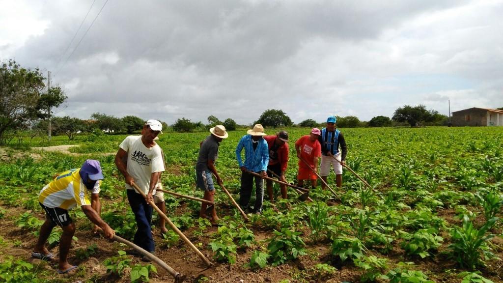 Castelo recebe galpão rural e equipamentos para fortalecer agricultura familiar