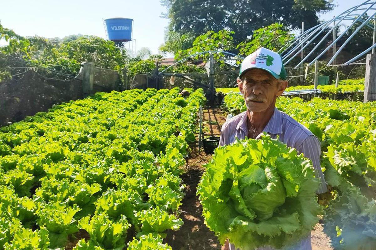 Do campo ao carbono: projeto leva agricultores capixabas a novo mercado e renda de longo prazo