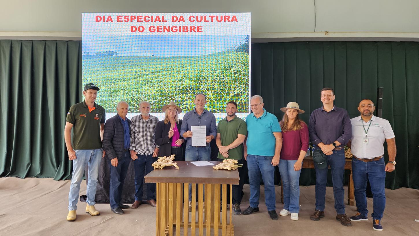 Espírito Santo abre safra 2026 do gengibre com investimento milionário em pesquisa e inovação