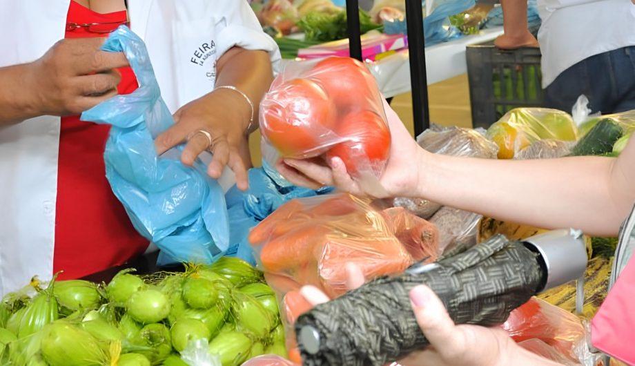 Feiras livres fortalecem agricultura familiar e movimentam economia local em Cachoeiro