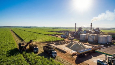 Da natureza à produtividade: tecnologia amplia eficiência da agricultura brasileira