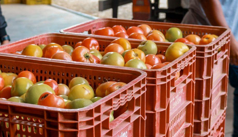 Entidades têm até 30 de junho para disputar vagas no Conselho de Segurança Alimentar de Cachoeiro