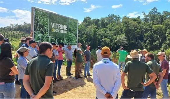 Espírito Santo capacita técnicos para tornar a pecuária leiteira mais sustentável