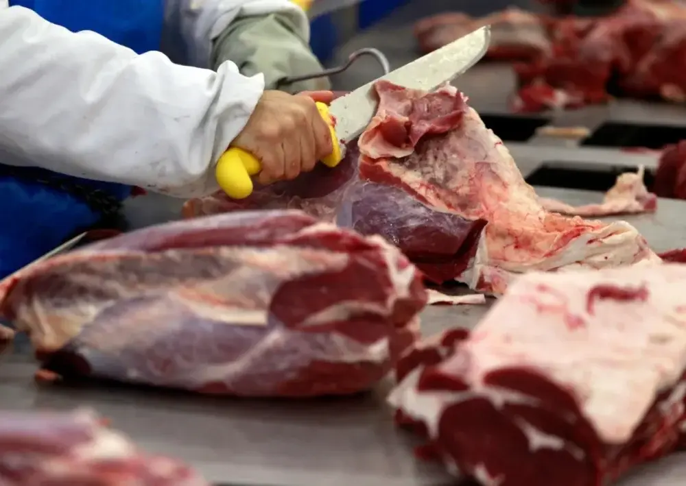 Agro capixaba exporta US$ 1,52 bilhão, mas recua no semestre enquanto Brasil avança