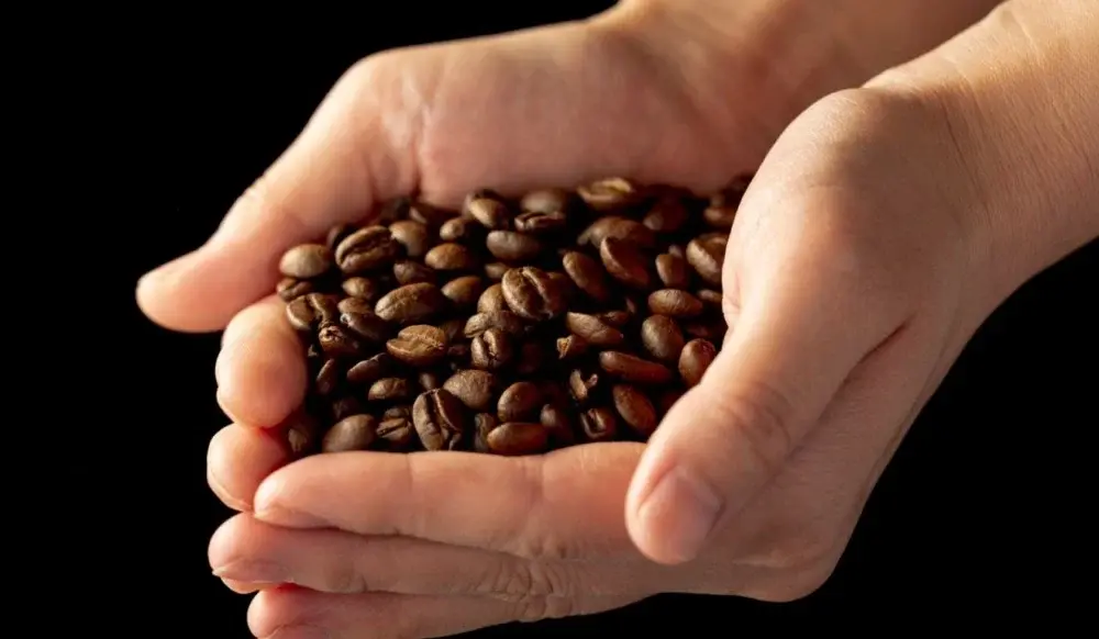 Café brasileiro é considerado insubstituível nos EUA durante debate sobre tarifas de importação