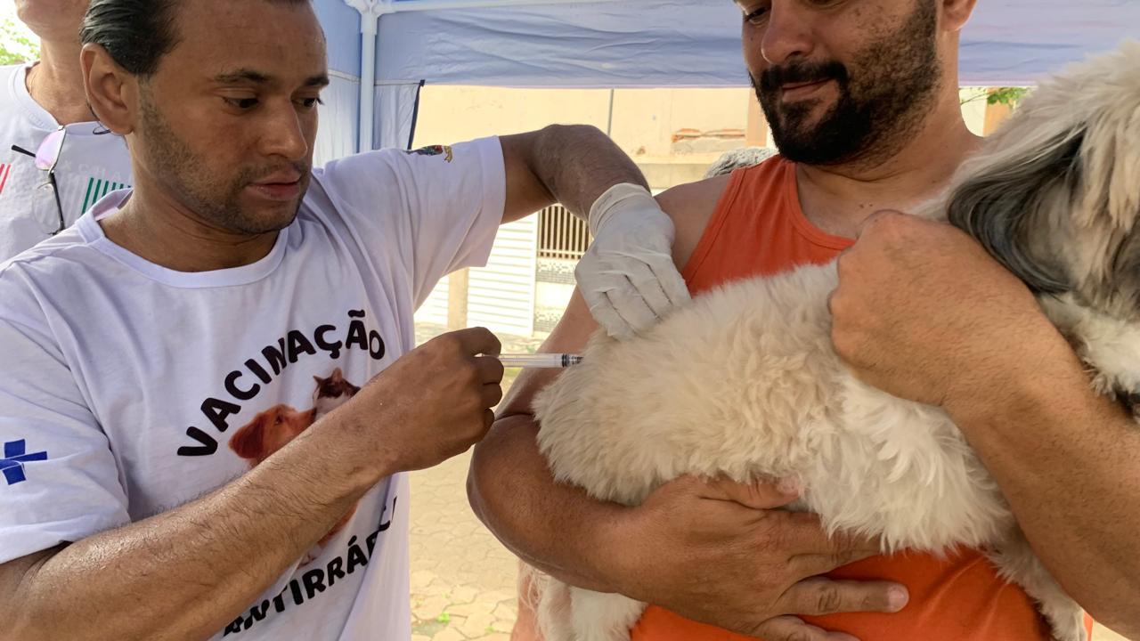 Cariacica vacina mais de 1,6 mil cães e gatos contra a raiva