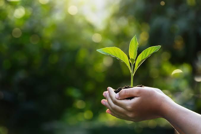Feira Verde 2026 levará sustentabilidade, inovação e educação ambiental à Praça Jerônimo Monteiro, em Cachoeiro