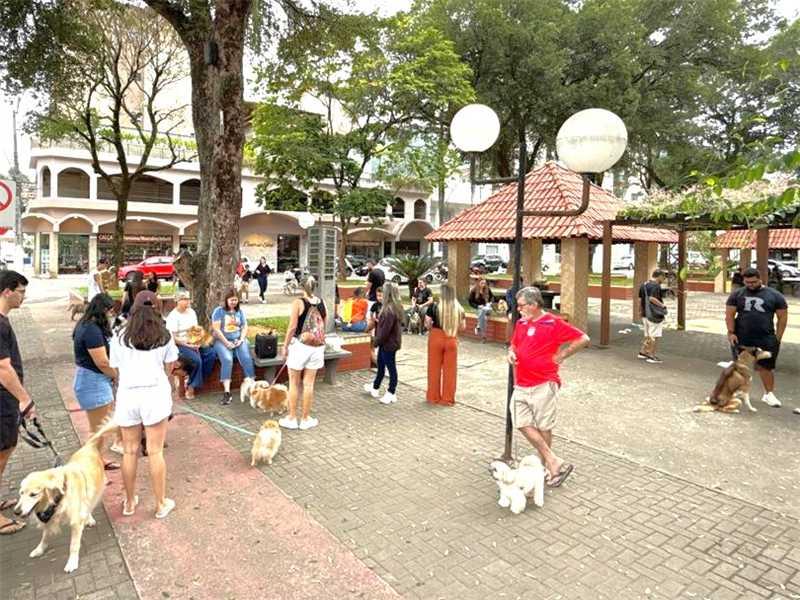 Leve seu melhor amigo! Caminhada Pet vai movimentar a 51ª Festa da Banana e do Leite em Alfredo Chaves