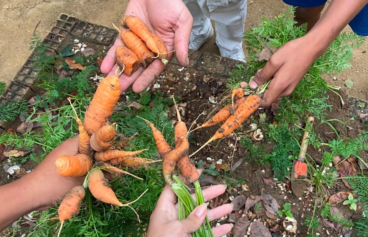 Projeto transforma horta em terapia e ajuda crianças a reduzir o uso de telas em Cariacica