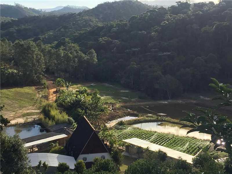 São Bento de Urânia se prepara para um domingo de sabores, música e tradição na 2ª Festa do Milho