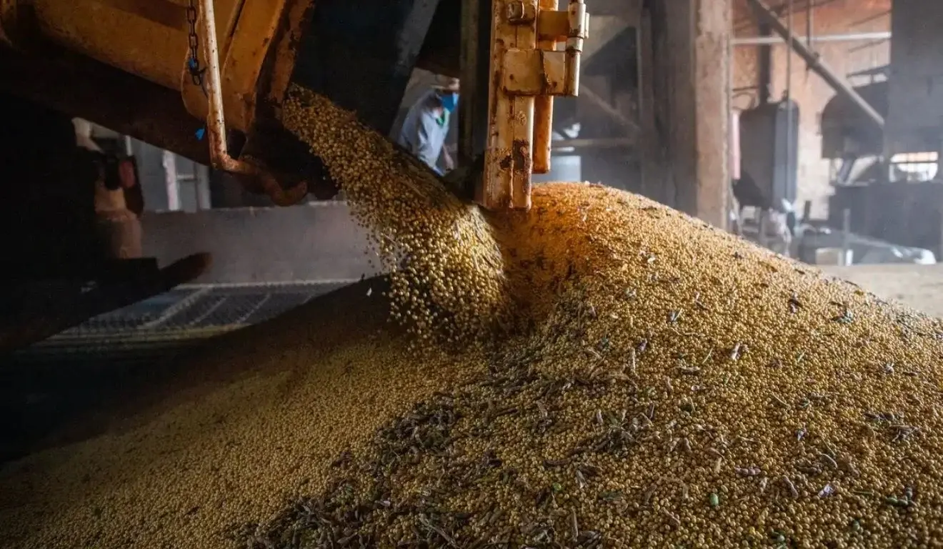 Tarifa dos EUA deve atingir 36,5% das exportações do agro brasileiro, estima CNA