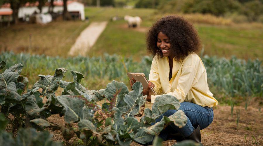 Vila Velha abre processo seletivo para veterinários e engenheiros agrônomos; inscrições seguem até 3 de agosto