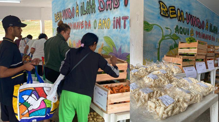 Vila Velha entrega cestas verdes com alimentos da agricultura familiar
