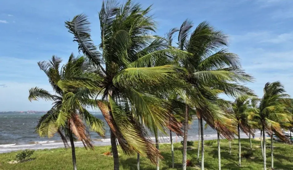 Alerta de ventos fortes no ES: veja as regiões afetadas e quando a chuva volta Estado terá tempo firme neste domingo, mas regiões litorâneas estão sob aviso de impacto moderado Carlos Raul Rodrigues, estagiário do Folha Vitória Ra