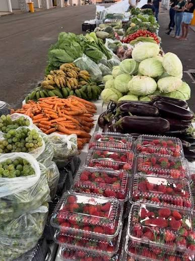 Alfredo Chaves divulga resultado de programa que vai investir R$ 175 mil na agricultura familiar
