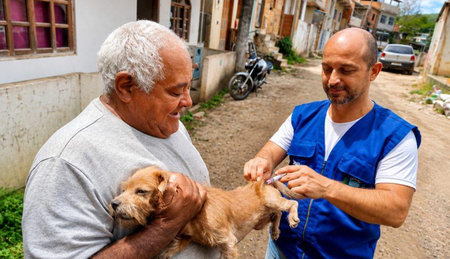 Cachoeiro vacina cães e gatos contra a raiva neste sábado em 16 localidades