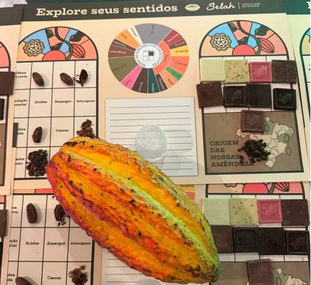 Chocolate de Pedra Azul conquista prêmio em Paris e coloca o Espírito Santo no mapa do mercado premium