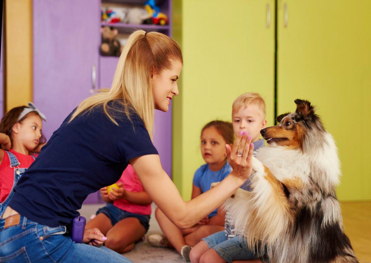 Pets em sala de aula podem favorecer aprendizagem e desenvolvimento emocional