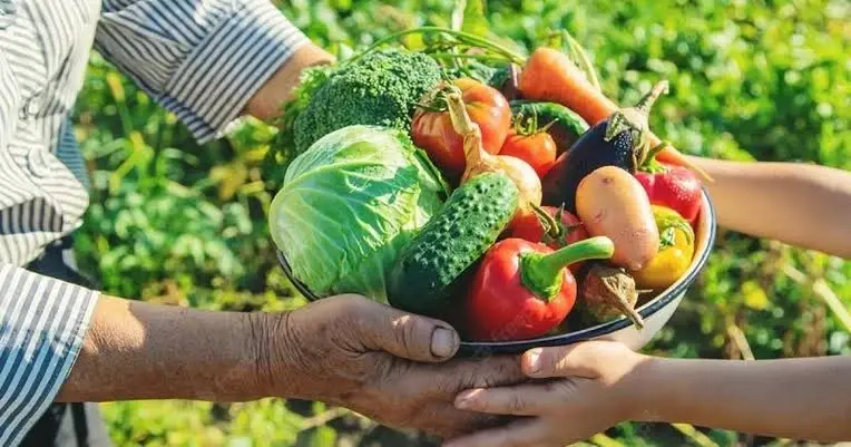 Prefeitura de Alfredo Chaves abre seleção do PAA com investimento de R$ 175 mil para fortalecer agricultura familiar