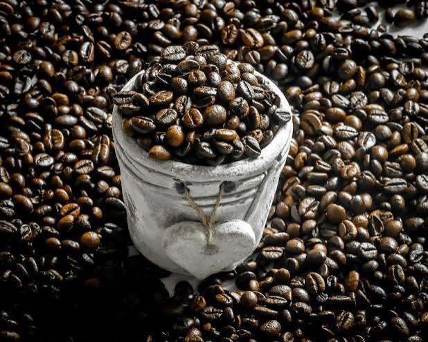 Prêmio Cafés Especiais do Espírito Santo abre inscrições com R$ 200 mil em premiações e categoria inédita para mulheres