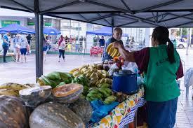 Tradicional feira acontece na Praça Colombo Guardia, das 5h30 às 12h, com frutas, verduras, queijos, pães, bolos, ovos, plantas e outras opções produzidas no município