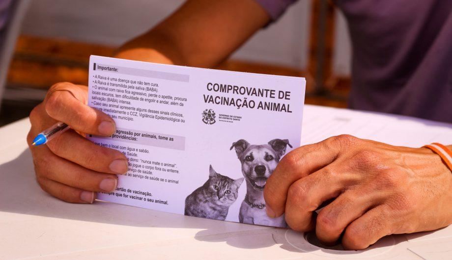 Vacinação antirrábica chega aos distritos de Cachoeiro neste sábado (29); veja todos os locais