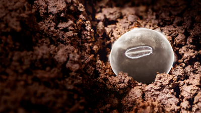 Brandt lança tecnologia que integra micronutrientes ao tratamento de sementes