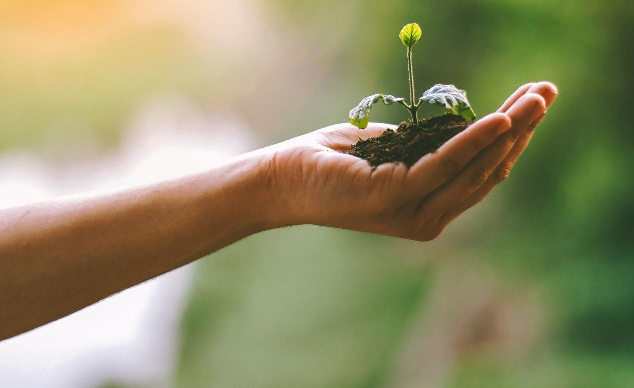 Cariacica cria grupo para unir emprego, qualificação e sustentabilidade