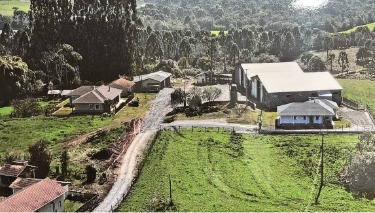 Família eleva produtividade da soja a 130 sacas por hectare