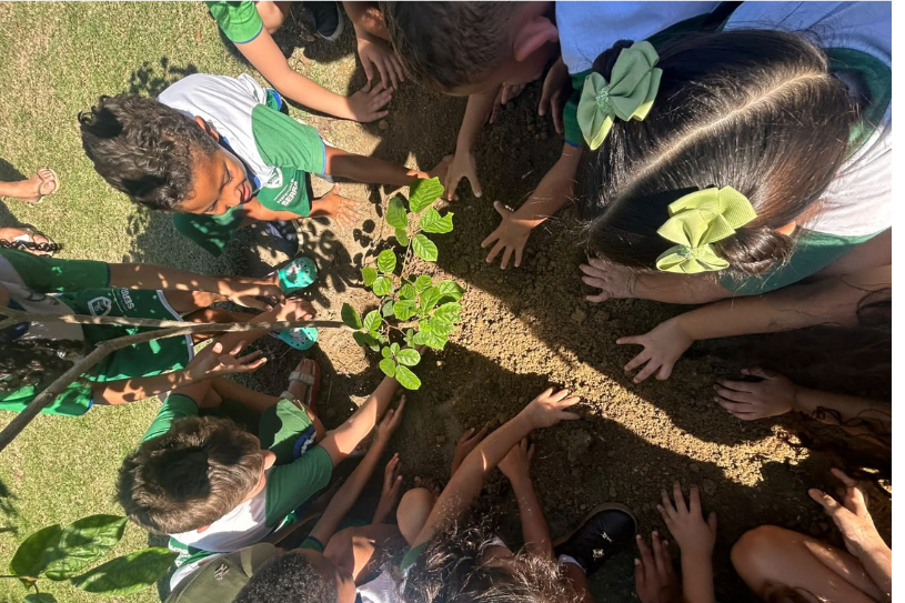 Ipê cultivado por crianças de creche ganha novo lar no Parque da Cidade, na Serra