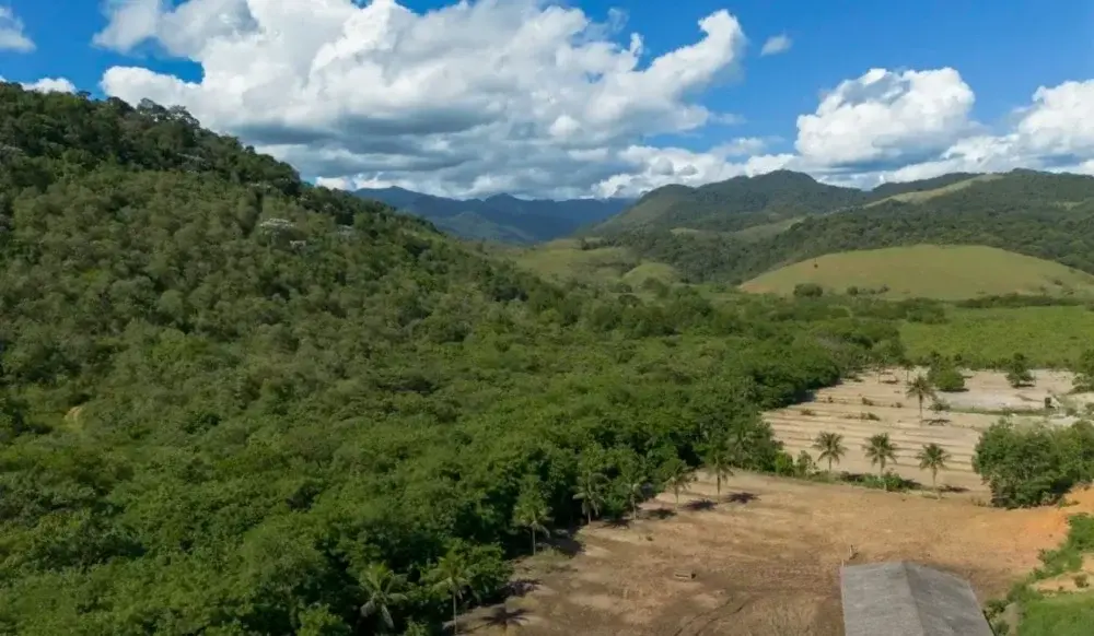 Mata Atlântica perde quase 10 milhões de hectares de vegetação madura enquanto agricultura avança