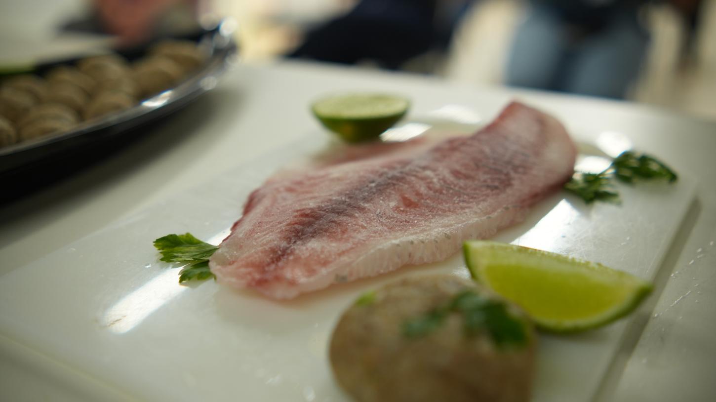 Minicursos ensinam receitas com pescado em Piúma