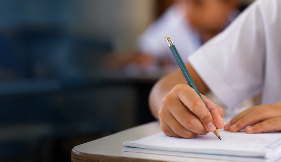Novo Plano Municipal de Educação terá 13 grupos temáticos e participação da sociedade para estabelecer prioridades em áreas como alfabetização, inclusão, ensino integral, tecnologia e infraestrutur