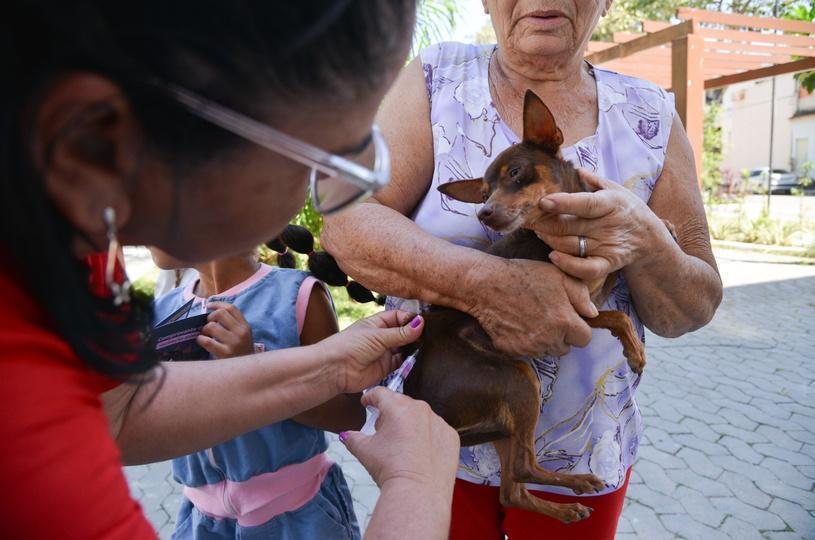 Serra já vacinou mais de 41 mil cães e gatos contra a raiva; nova etapa será neste fim de semana