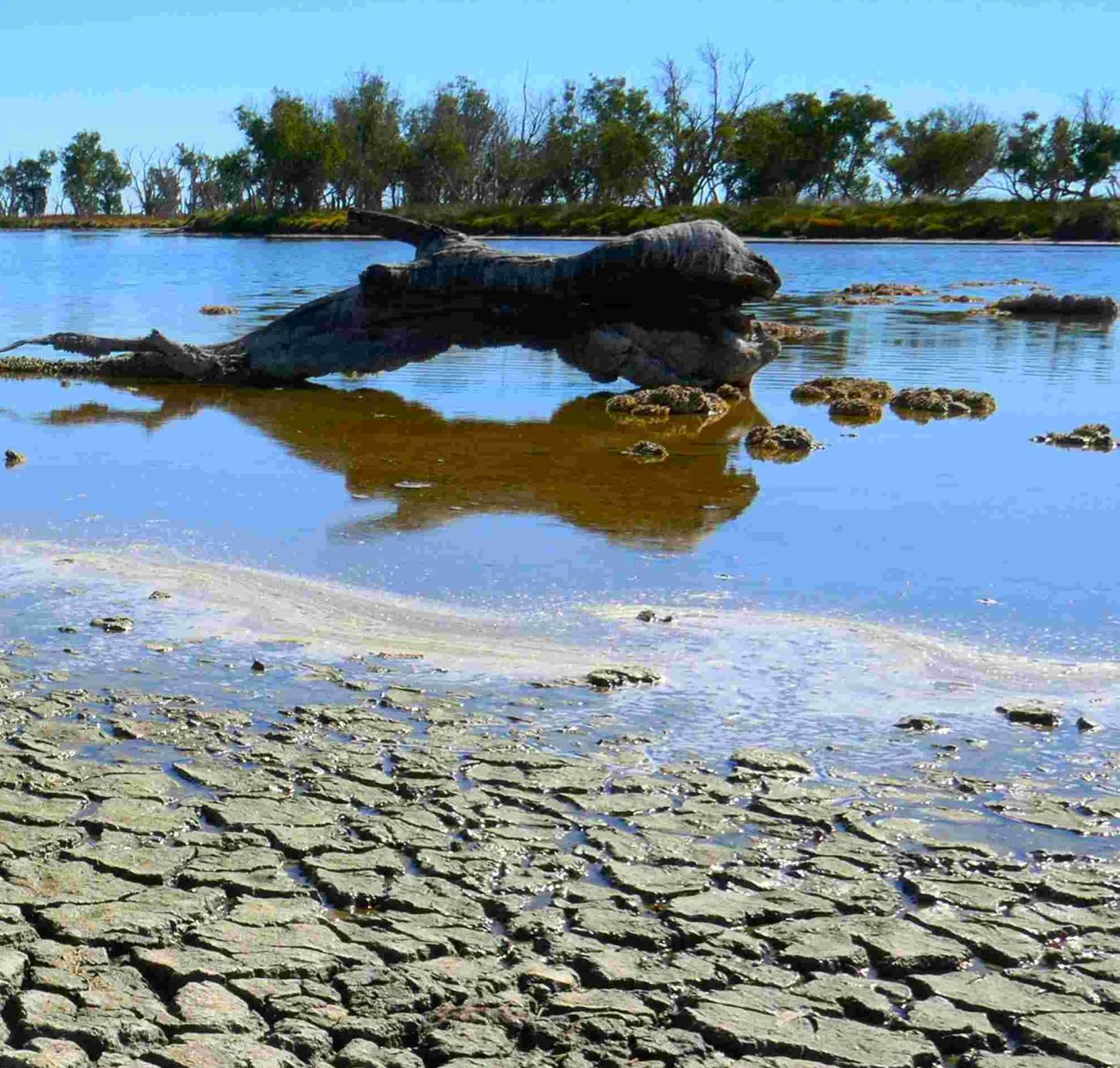 Super El Niño pode afetar alimentos, água e energia no Espírito Santo