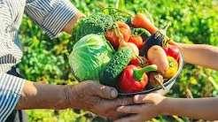 Alfredo Chaves inicia nova etapa de programa que leva alimentos a 50 famílias e fortalece produtores locais