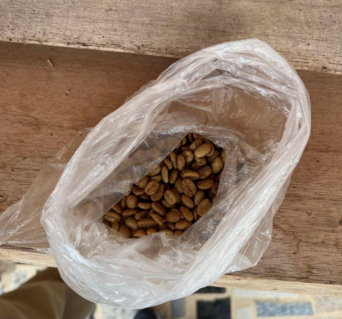 Cascas de marisco e café viram produtos sustentáveis no Espírito Santo