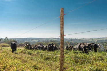 Cerca elétrica rural tem regras de segurança previstas em lei federal