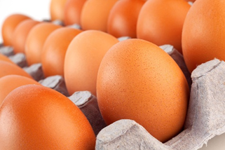 Dia Mundial do Ovo destaca benefícios da proteína para a saúde