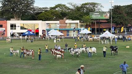 Expoinel reúne 1.096 animais e 112 criadores em Uberaba
