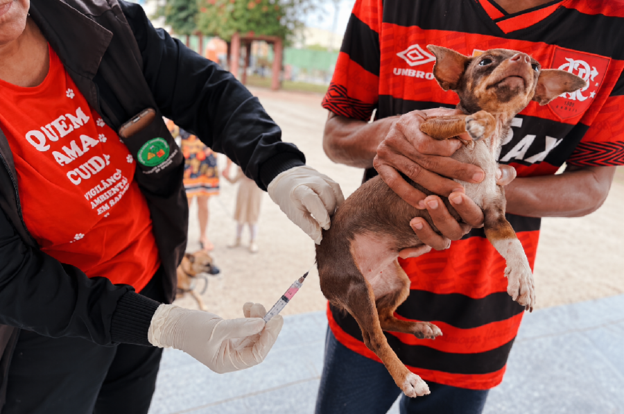 Serra terá vacinação antirrábica para cães e gatos em dois shoppings neste sábado (17)
