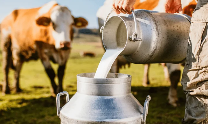 Agrintex ES 2026 debate futuro da pecuária leiteira e sucessão familiar no campo