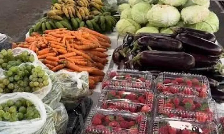 Alfredo Chaves divulga resultado de programa que vai investir R$ 175 mil na agricultura familiar