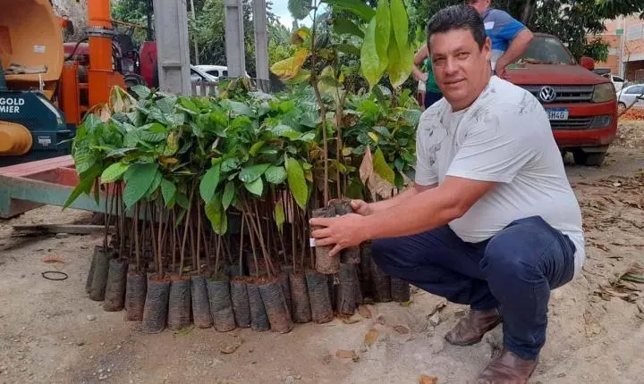 Arranjos Produtivos entrega mais 2 mil mudas de cacau para agricultores familiares de Vila Pavão