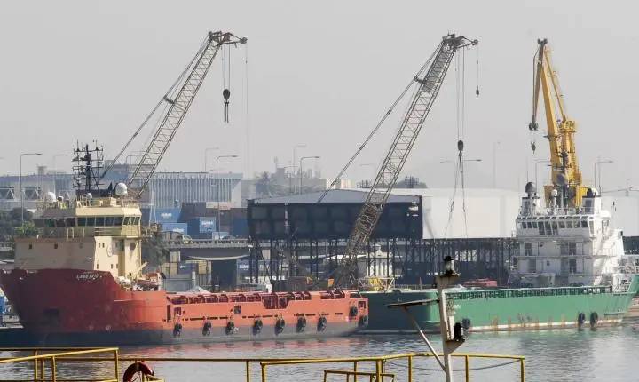 Exportação da pecuária do Brasil ganha novos mercados em Bangladesh e Colômbia