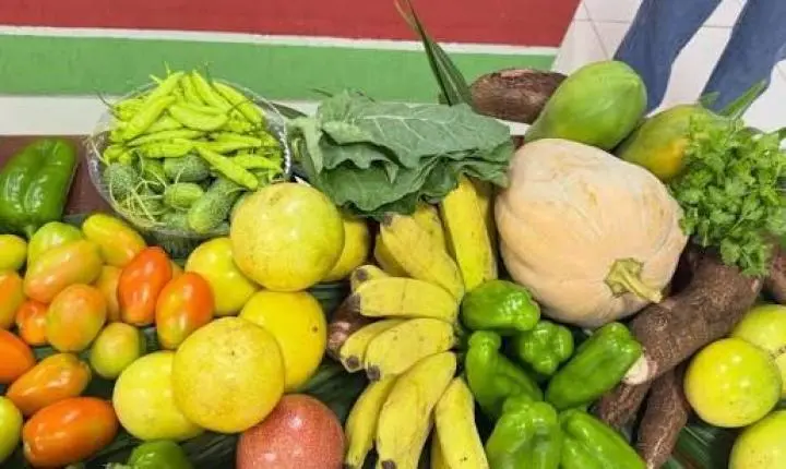 Cachoeiro aprova merenda adaptada para alunos autistas, com alergias e restrições alimentares