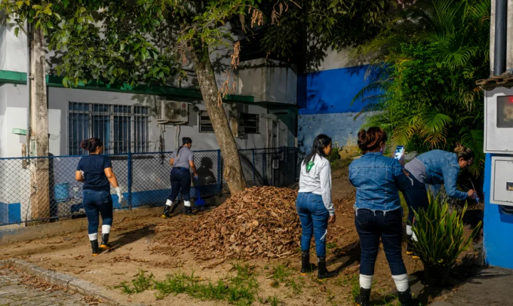 Cachoeiro capacita agentes para captura de escorpiões e reforça combate aos acidentes com animais peçonhentos