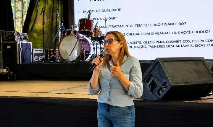 Castelinho: produtores conhecem estratégias para aumentar a produtividade do abacateiro